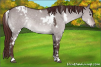 Horse Color:Gray Platinum White Spotted Chocolate Brown Dun 