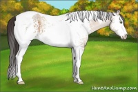 Horse Color:White Spotted Sable Champagne Tobiano 