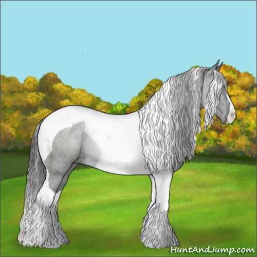Horse Color:Black Tobiano Rabicano 