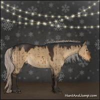 Horse Color:Gray Silver Brown Dun Rabicano Brindle 