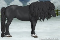 Horse Color:Black 