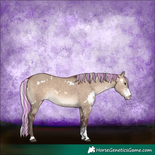 Horse Color:Painted White Spotted Silver Brown Dun Mushroom Sabino 