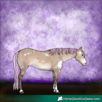 Horse Color:Painted White Spotted Silver Brown Dun Mushroom Sabino 