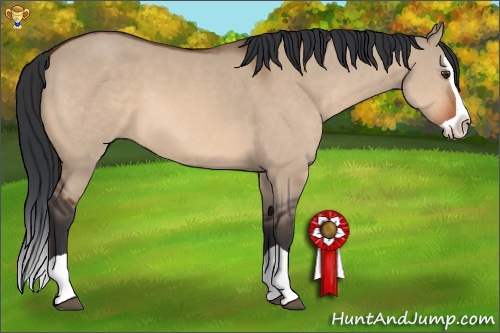 Horse Color:Bay Dun Splash 