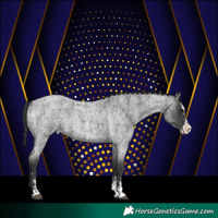 Horse Color:Blue Roan Sabino Splash and Blue Roan Sabino Splash