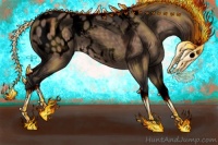 Horse Color:Void Brown Dun Sabino Splash Appaloosa 