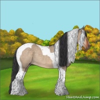 Horse Color:Brown Dun Tobiano Rabicano