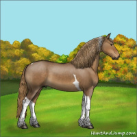 Horse Color:Gray Liver Red Dun Tobiano 