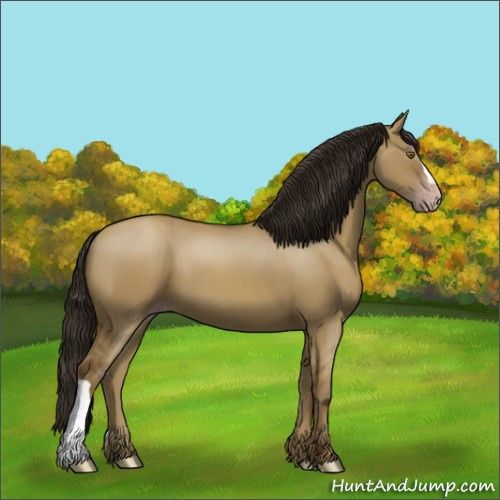 Horse Color:Gray Classic Cream Champagne Dun
