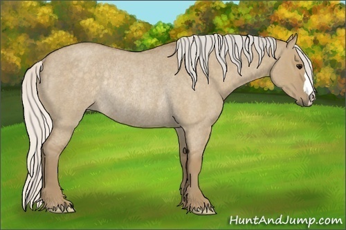 Horse Color:Silver Smoky Grullo Roan Rabicano