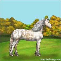 Horse Color:Silver Classic Cream Champagne Appaloosa  and Classic Cream Champagne Appaloosa 