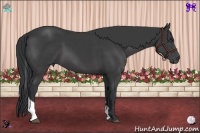 Horse Color:Black Sabino Tobiano