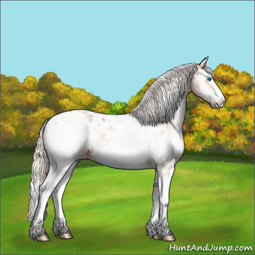 Horse Color:White Spotted Silver Bay Onyx Splash Appaloosa