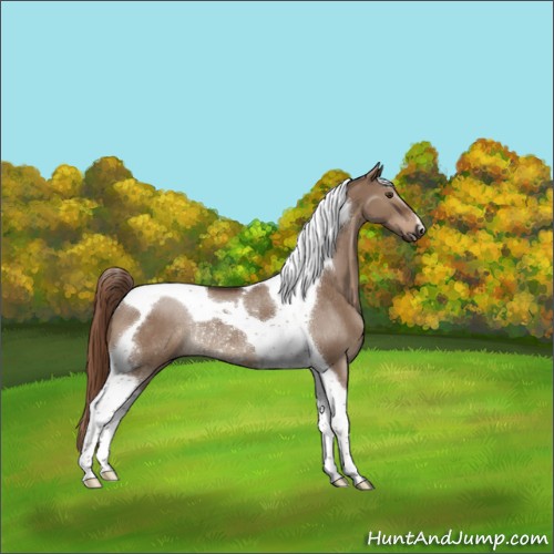 Horse Color:Liver Red Dun Tobiano Rabicano 