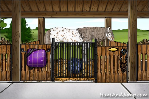 Horse Color:Chocolate Palomino Appaloosa 