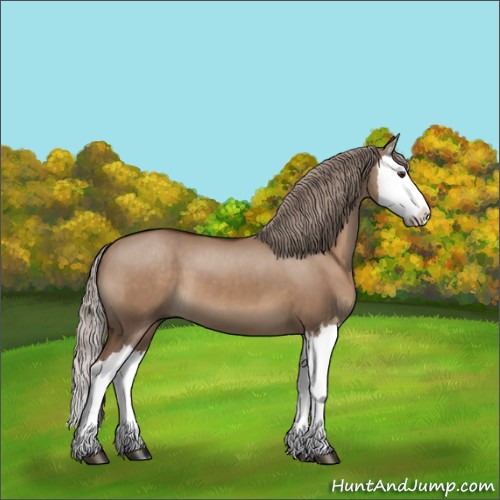 Horse Color:Liver Red Dun Splash