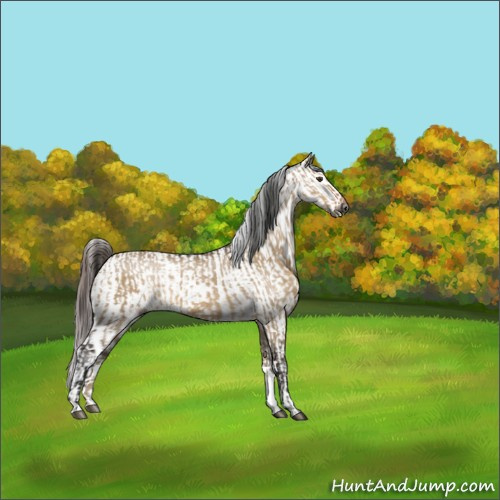 Horse Color:Gray Brown Dun Varnish and Liver Red Dun Blanket Brindle
