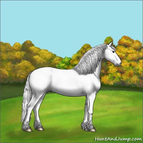 Horse Color:Gray Blue Onyx Chinchilla Splash Appaloosa Rabicano 