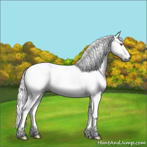 Horse Color:Gray Buckskin Chinchilla Dun Rabicano 