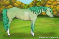 Horse Color:Watercolor Brown Dun 
