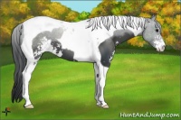 Horse Color:Black Sabino Tobiano 
