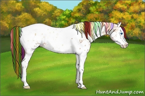 Horse Color:Painted Red Dun Ice Onyx Splash Tobiano Appaloosa 