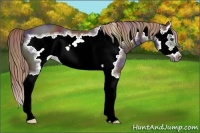Horse Color:Nacre Liver Chestnut Splash Frame