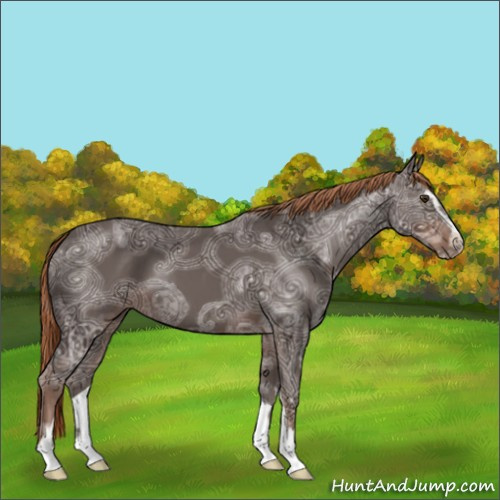 Horse Color:Liver Chestnut Ice Sabino 