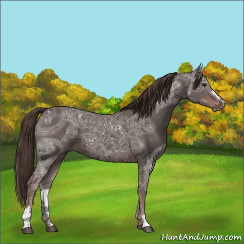Horse Color:Liver Chestnut Ice Sabino 