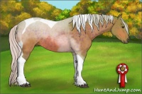 Horse Color:Watercolor Silver Brown Sabino Tobiano 