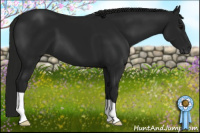 Horse Color:Gray Black 