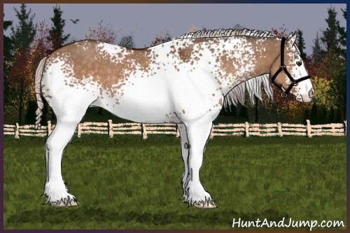 Horse Color:White Spotted Silver Brown Dun 