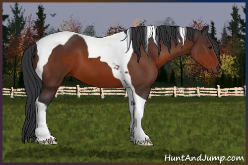 Horse Color:Brown Tobiano