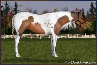 Horse Color:Silver Buckskin Tobiano 