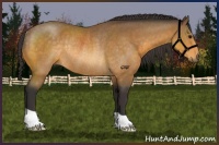 Horse Color:Buckskin Rabicano