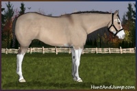 Horse Color:Brown Dun Sabino 