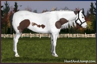 Horse Color:Brown Splash Tobiano 