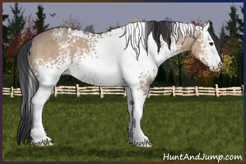 Horse Color:White Spotted Brown Dun