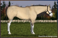Horse Color:Buckskin Dun Sabino 