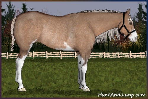 Horse Color:Silver Brown Dun Sabino Rabicano