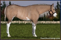 Horse Color:Silver Brown Dun Sabino Rabicano