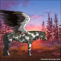 Horse Color:White Spotted Black
