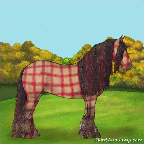 Horse Color:Plaid Buckskin Dun