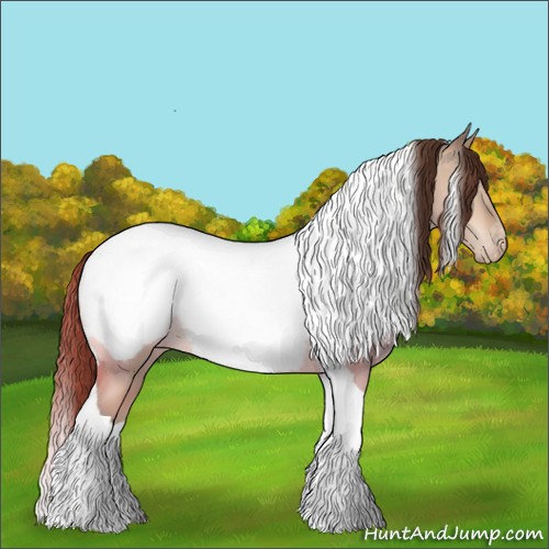 Horse Color:Sable Champagne Dun Tobiano Appaloosa