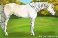 Horse Color:Watercolor White Spotted Liver Red Onyx Pearl Appaloosa 