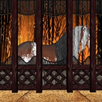 Horse Color:White Spotted Brown Appaloosa