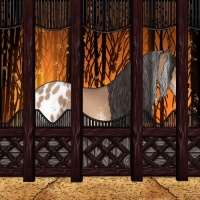 Horse Color:White Spotted Sable Champagne Appaloosa 