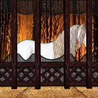 Horse Color:White Spotted Gold Champagne Appaloosa