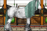 Horse Color:Painted White Spotted Black Sabino Appaloosa 