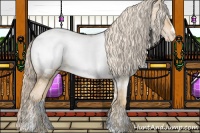 Horse Color:White Spotted Palomino Ice Snowdrop Sabino Snowcap